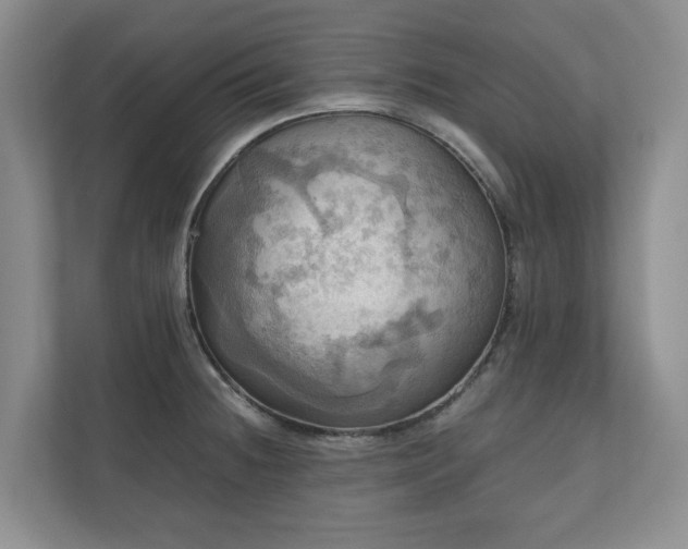 X0000111031236200907021532