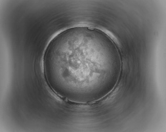X0000111031238200907021532