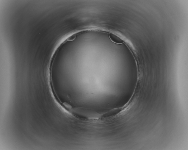 X0000111031239200907021532