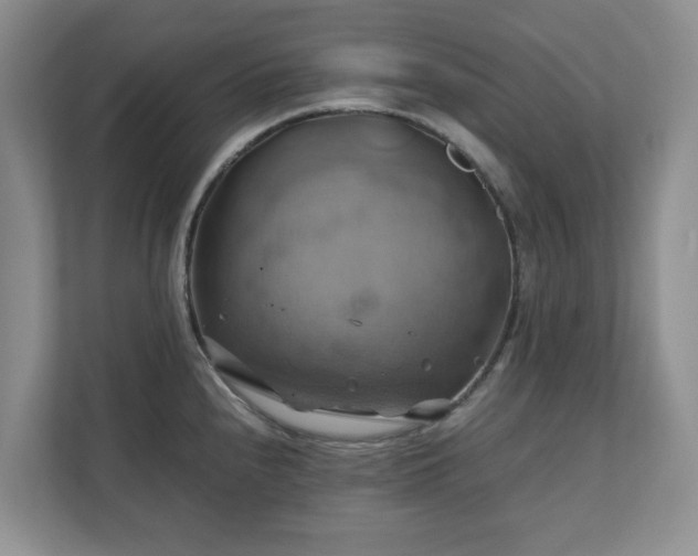 X0000111031240200907021532