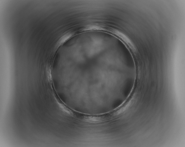X0000111031241200907021532