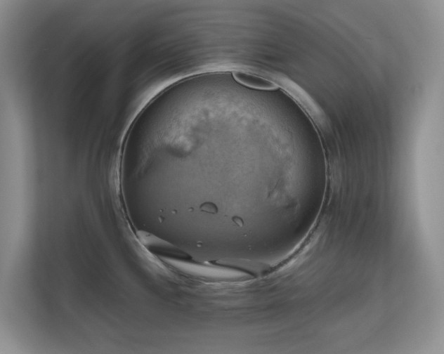 X0000111031244200907021532