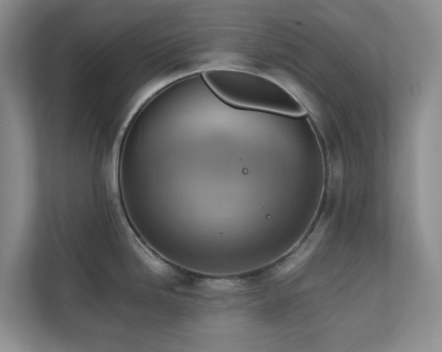 X0000111031246200907021532
