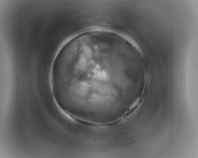 X0000111031247200907021532