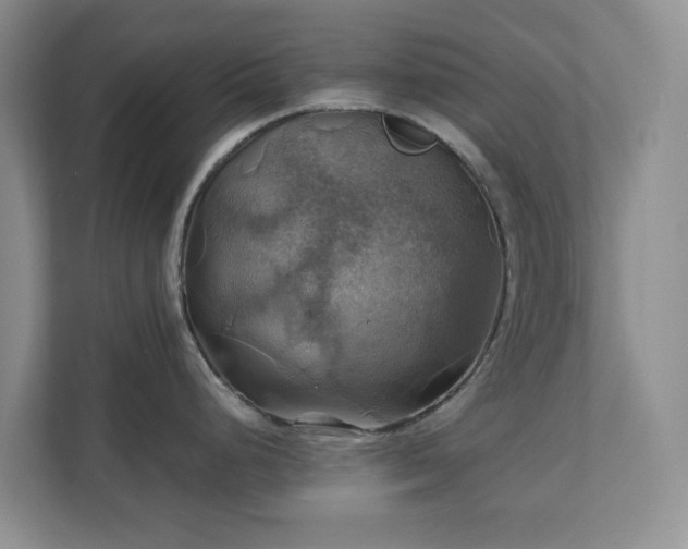 X0000111031248200907021532