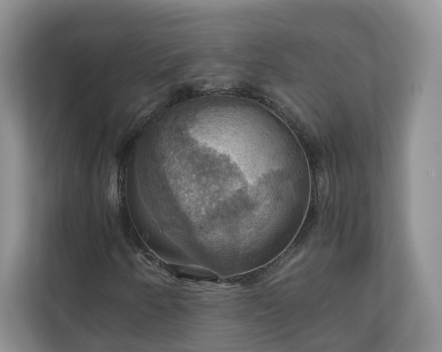 X0000111031250200907021531