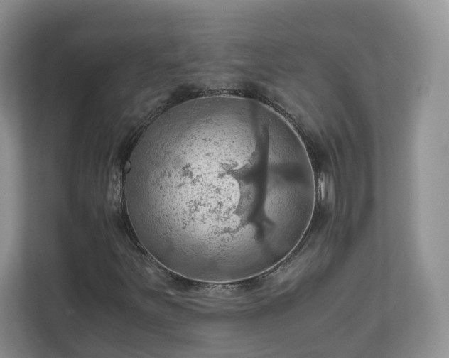 X0000111031251200907021531