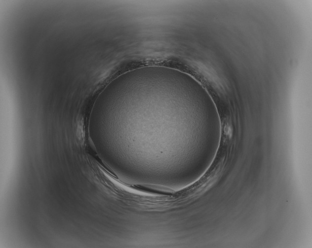 X0000111031252200907021531