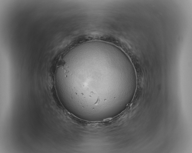 X0000111031253200907021531
