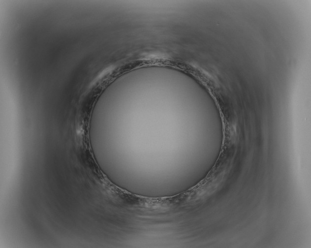 X0000111031254200907021531