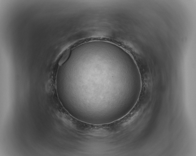 X0000111031256200907021531