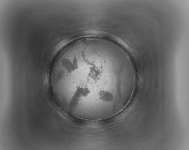 X0000111031259200907021531
