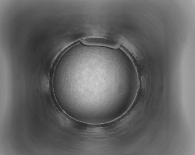 X0000111031260200907021531