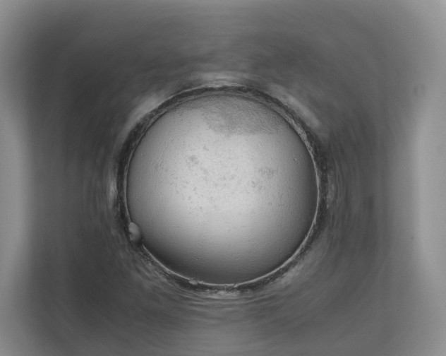 X0000111031261200907021531