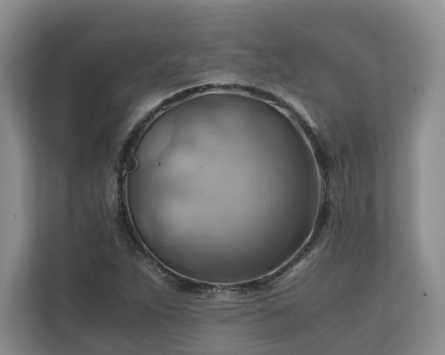 X0000111031263200907021531
