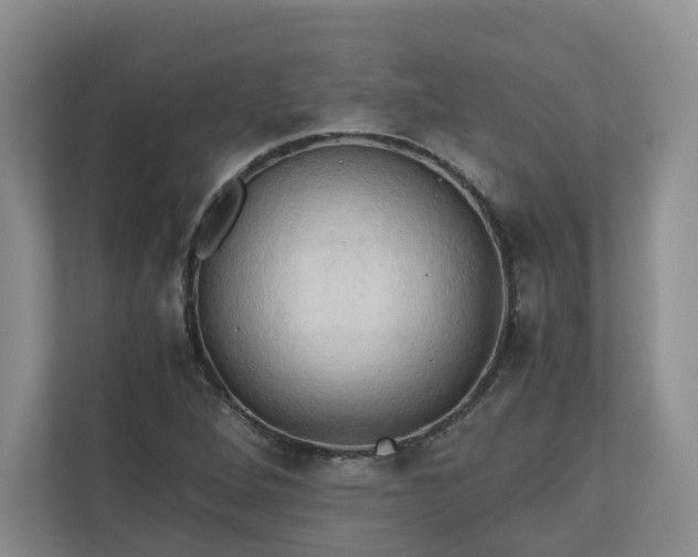 X0000111031264200907021531