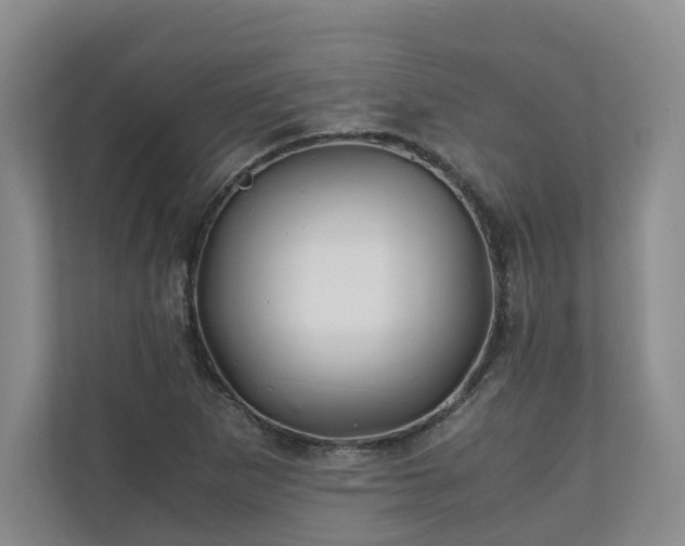 X0000111031265200907021531