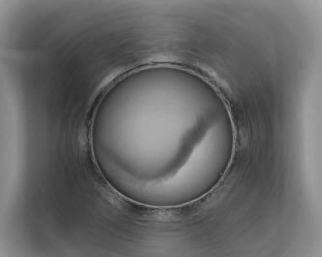 X0000111031266200907021531