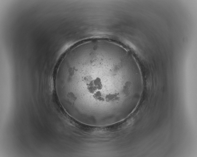 X0000111031267200907021531