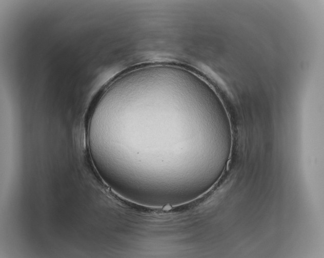 X0000111031269200907021531