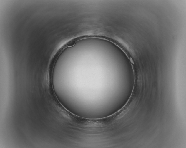 X0000111031270200907021531