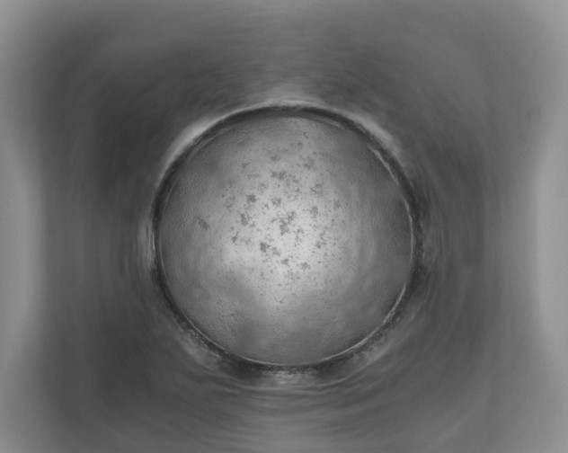 X0000111031271200907021531