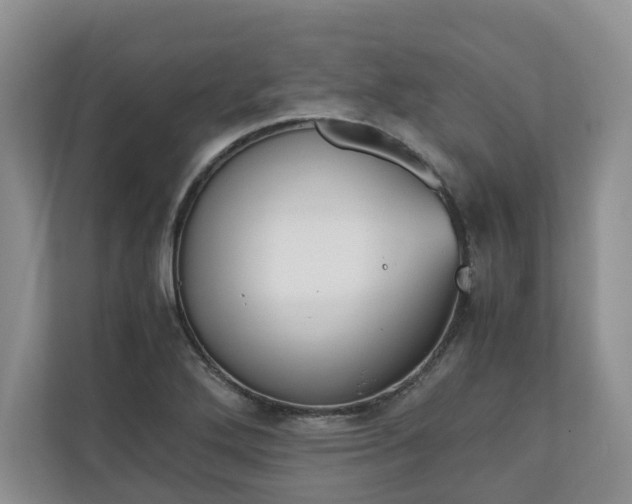 X0000111031272200907021531