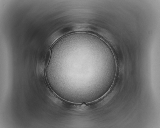 X0000111031273200907021531