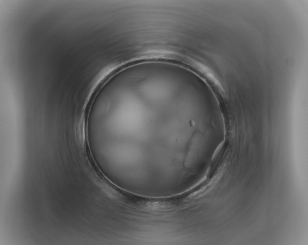 X0000111031275200907021531