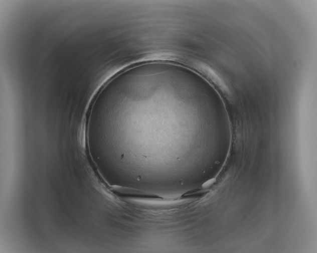 X0000111031276200907021531