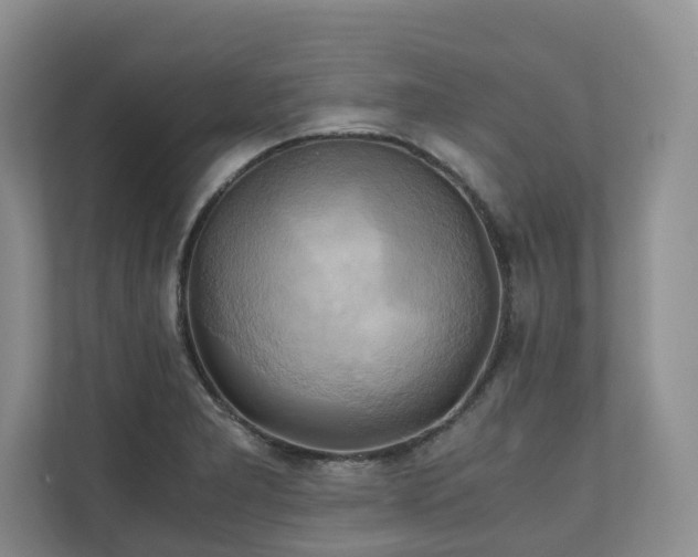 X0000111031277200907021531