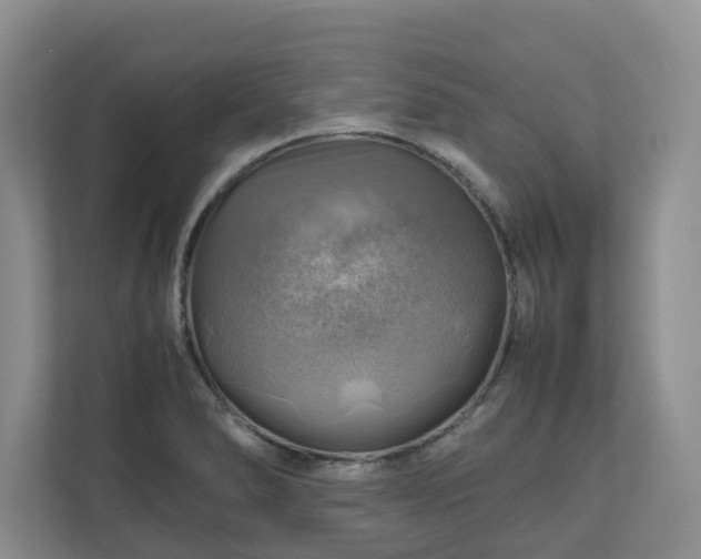 X0000111031278200907021531
