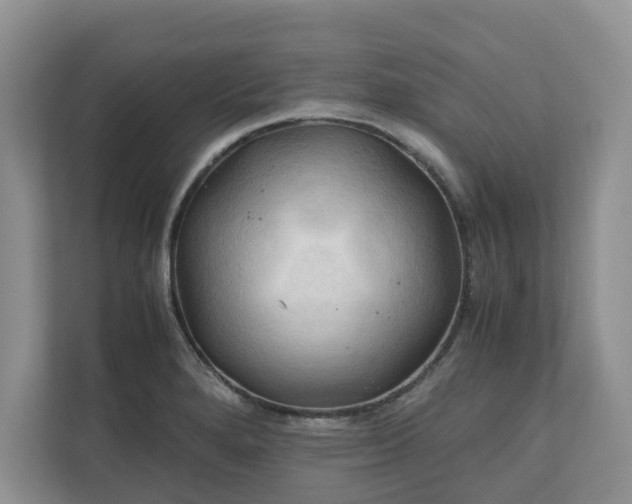X0000111031280200907021531