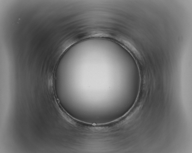 X0000111031281200907021531