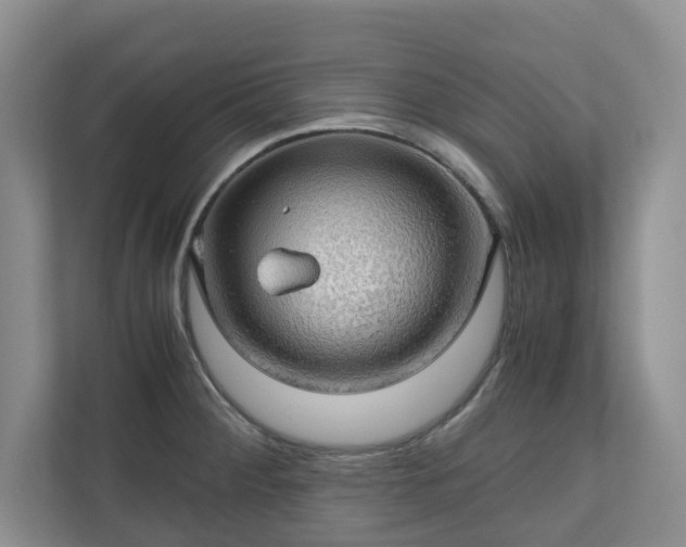X0000111031284200907021531