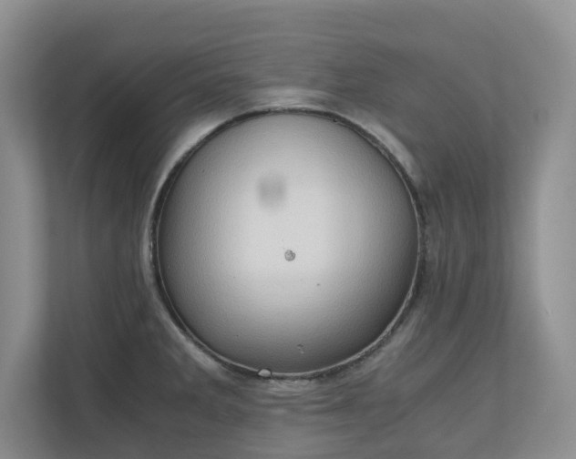X0000111031285200907021531