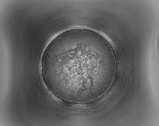 X0000111031287200907021531
