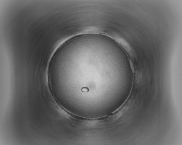 X0000111031288200907021531