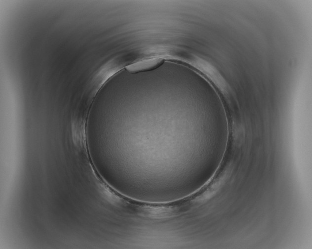 X0000111031289200907021531