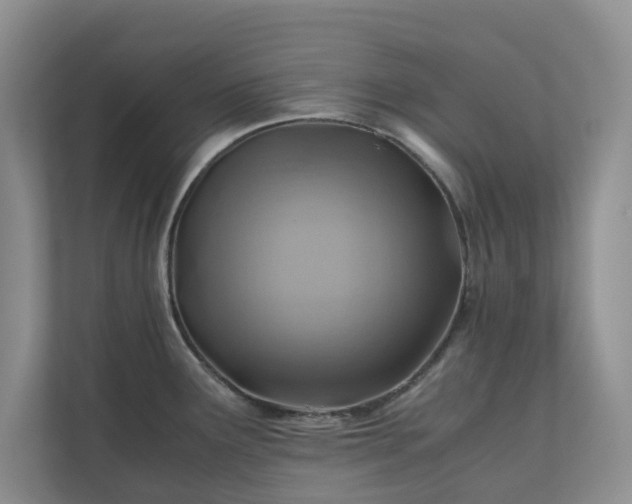 X0000111031291200907021531