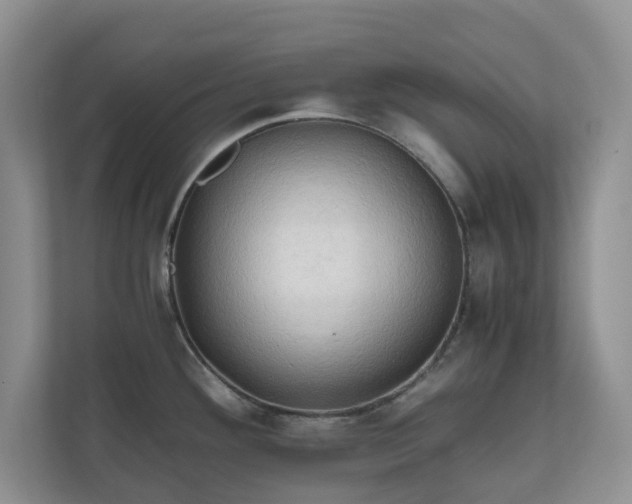 X0000111031292200907021531