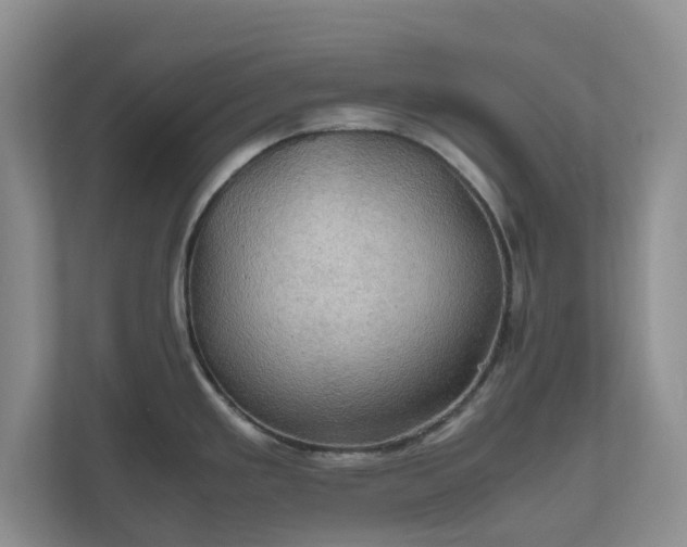 X0000111031293200907021531