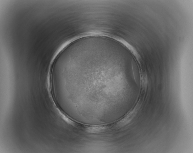 X0000111031294200907021530