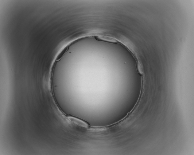 X0000111031296200907021530