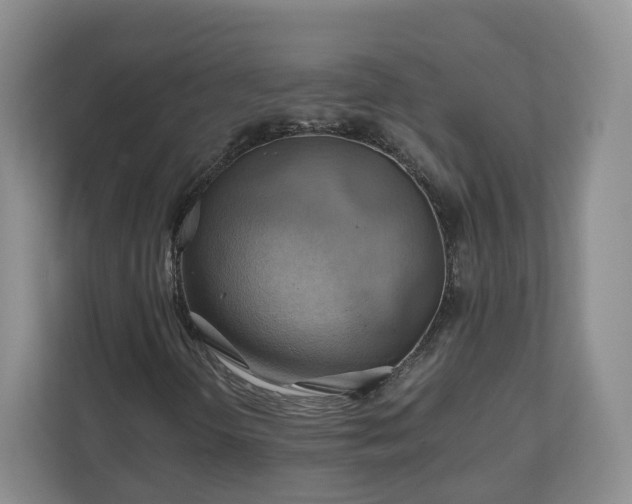 X0000111031298200907021530