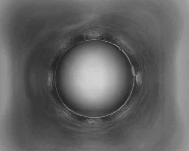 X0000111031299200907021530