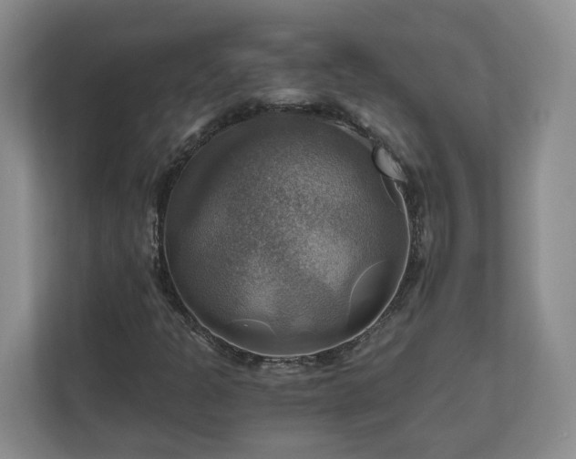 X0000111031301200907021530