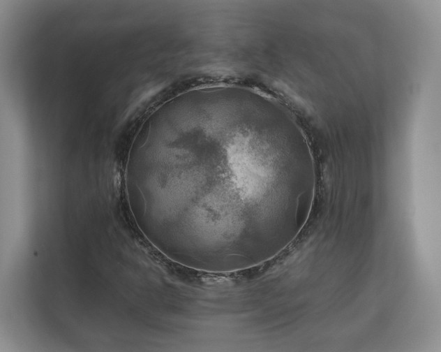 X0000111031302200907021530