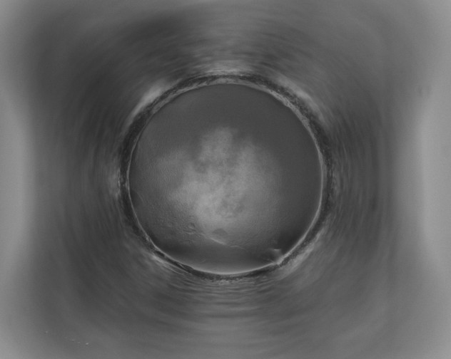 X0000111031306200907021530