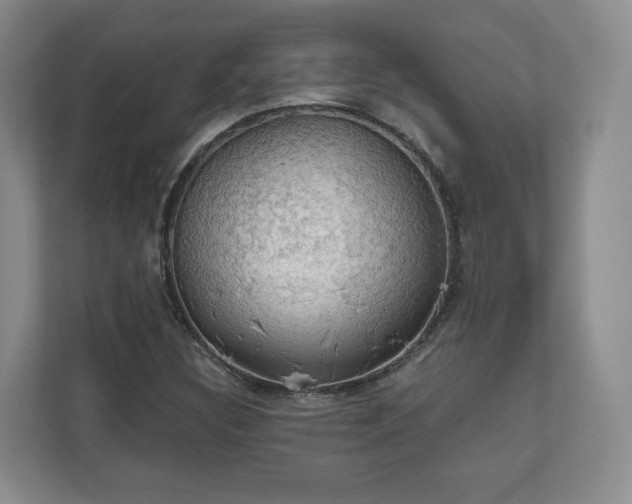 X0000111031308200907021530